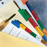 Index Tabs and Dividers